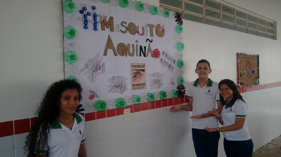 dengue 4